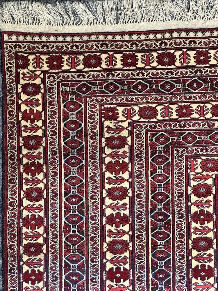 Fine Afghan Shakh Extremely fine hand woven Rug