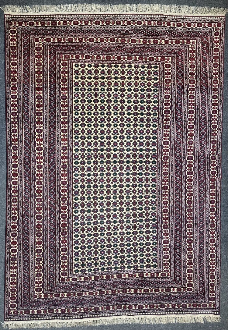 Fine Afghan Shakh Extremely fine hand woven Rug